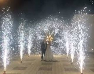 фонтаны + цветок